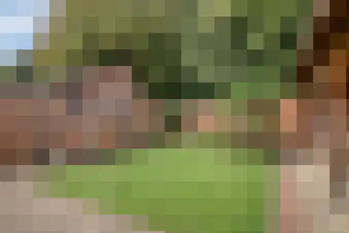 Eenhoornplaat 4 Emmeloord thumbnail 48