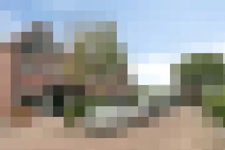 Eenhoornplaat 4 Emmeloord thumbnail 5
