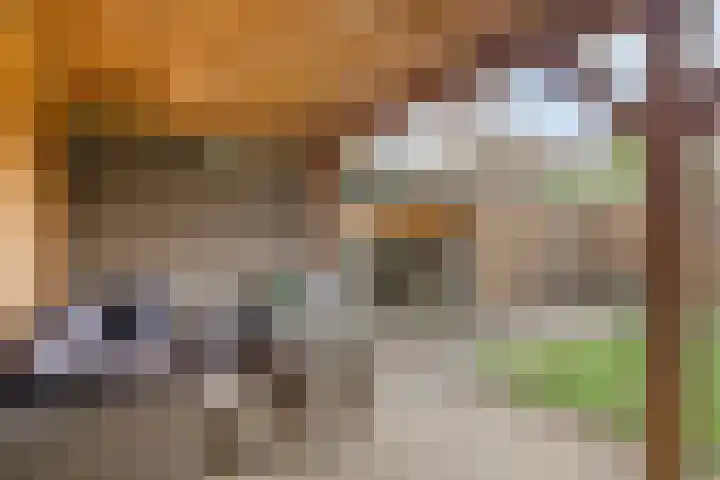 Eenhoornplaat 4 Emmeloord thumbnail 50