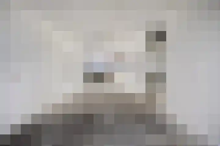 Eenhoornsingel 87 A Maastricht thumbnail 8