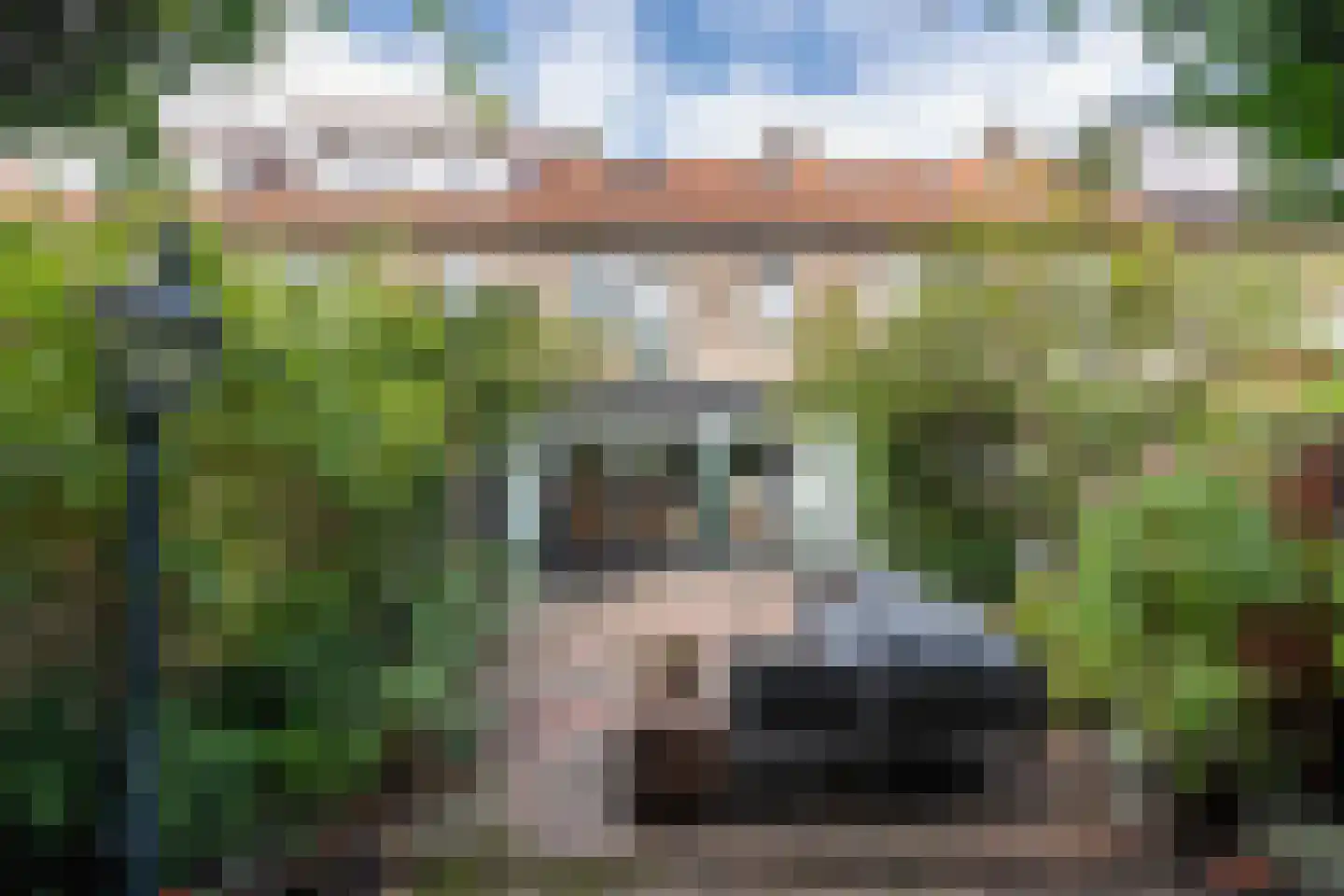Eenhoornstraat 12 Haarlem thumbnail 18