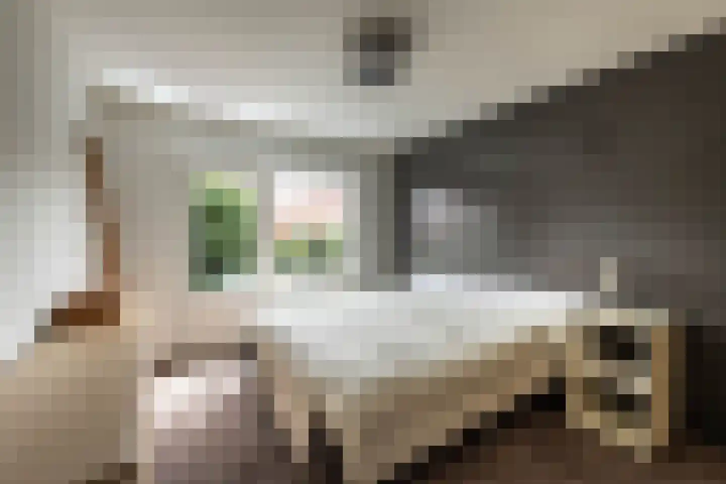 Eenhoornstraat 12 Haarlem thumbnail 21