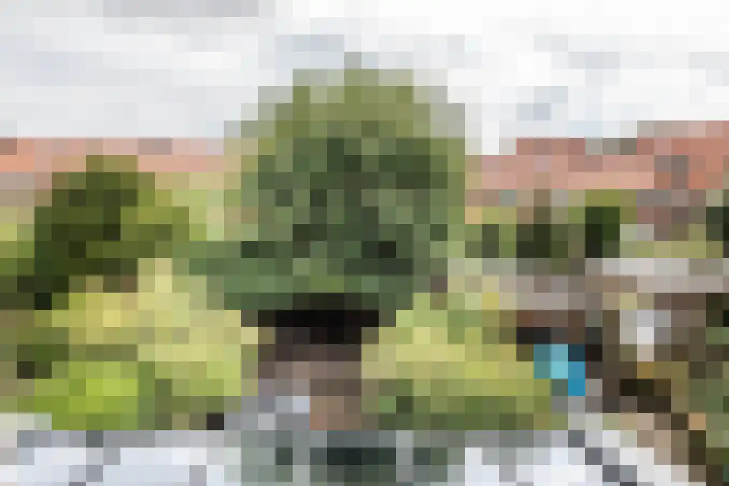 Eenhoornstraat 12 Haarlem thumbnail 24