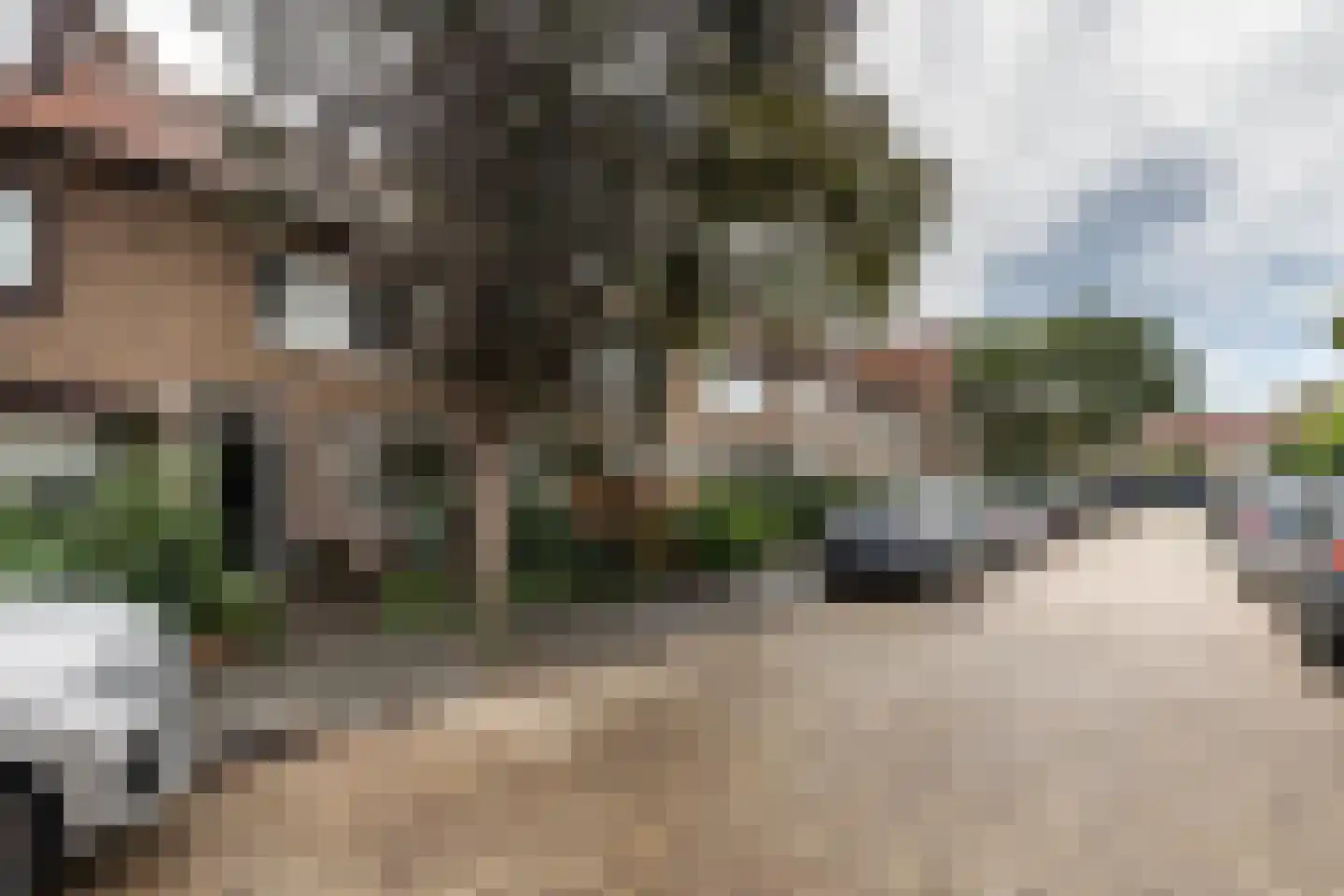 Eenhoornstraat 12 Haarlem thumbnail 34