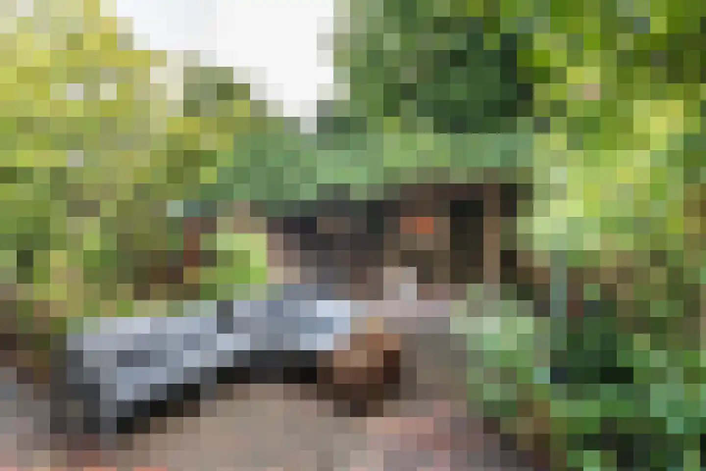 Eenhoornstraat 12 Haarlem thumbnail 5