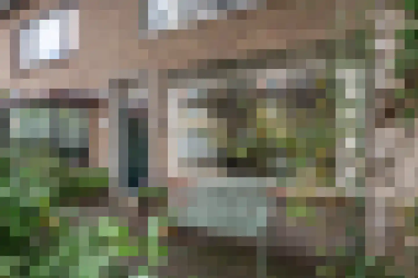Eenhoornstraat 12 Haarlem thumbnail 6