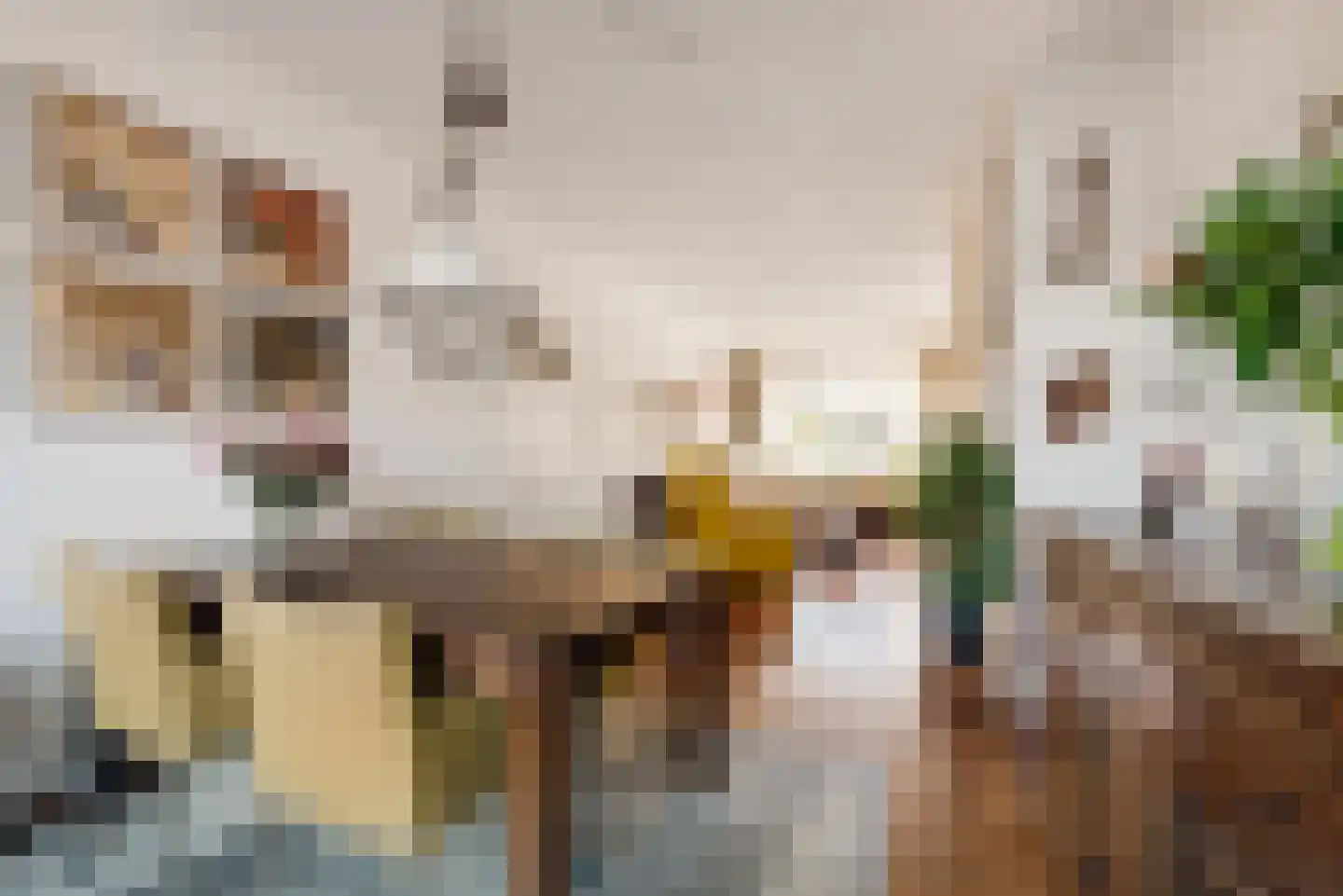 Eenhoornstraat 34 Haarlem thumbnail 11