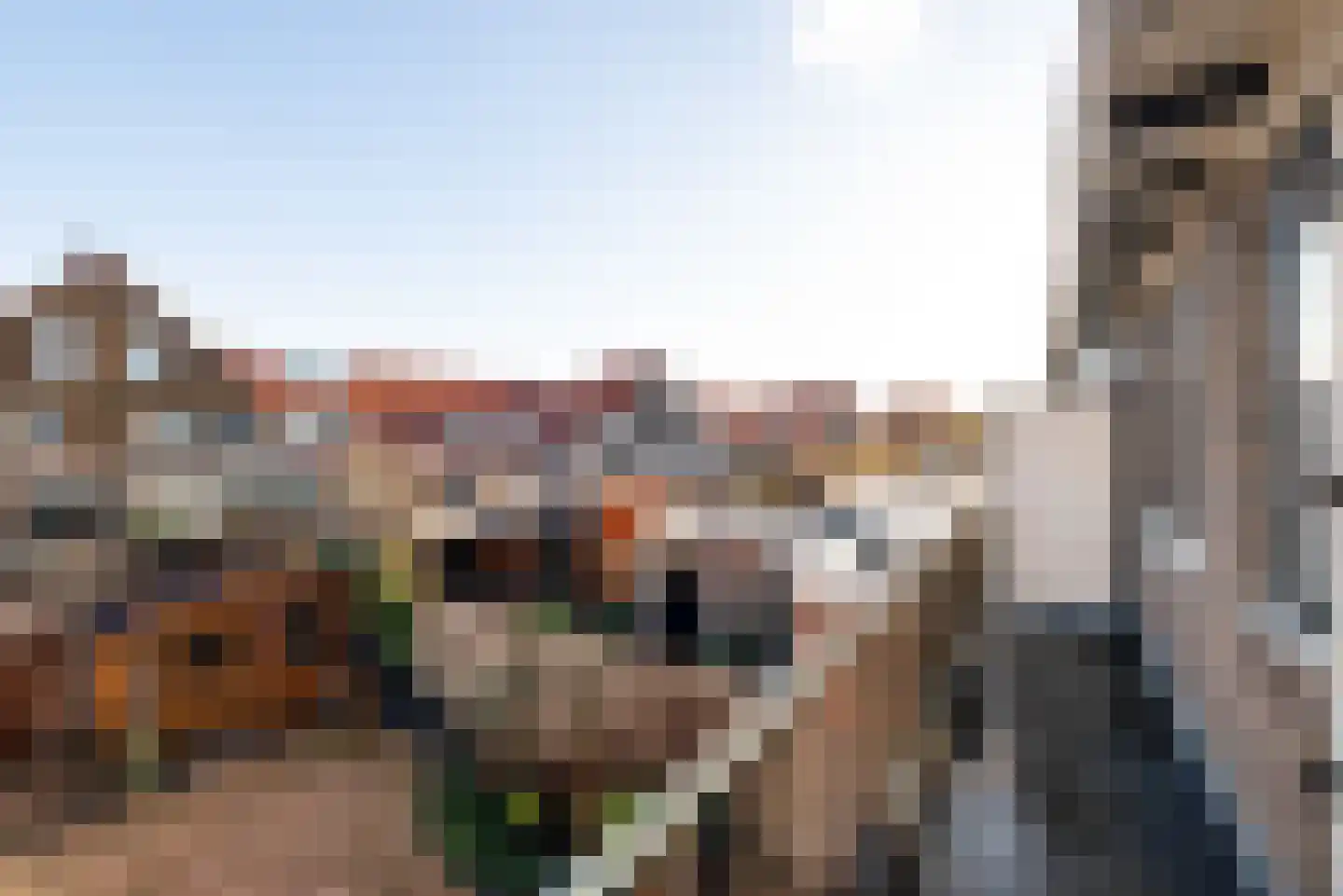 Eenhoornstraat 34 Haarlem thumbnail 22