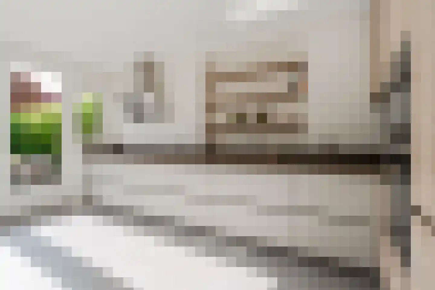 Eenhoornstraat 44 Haarlem thumbnail 21