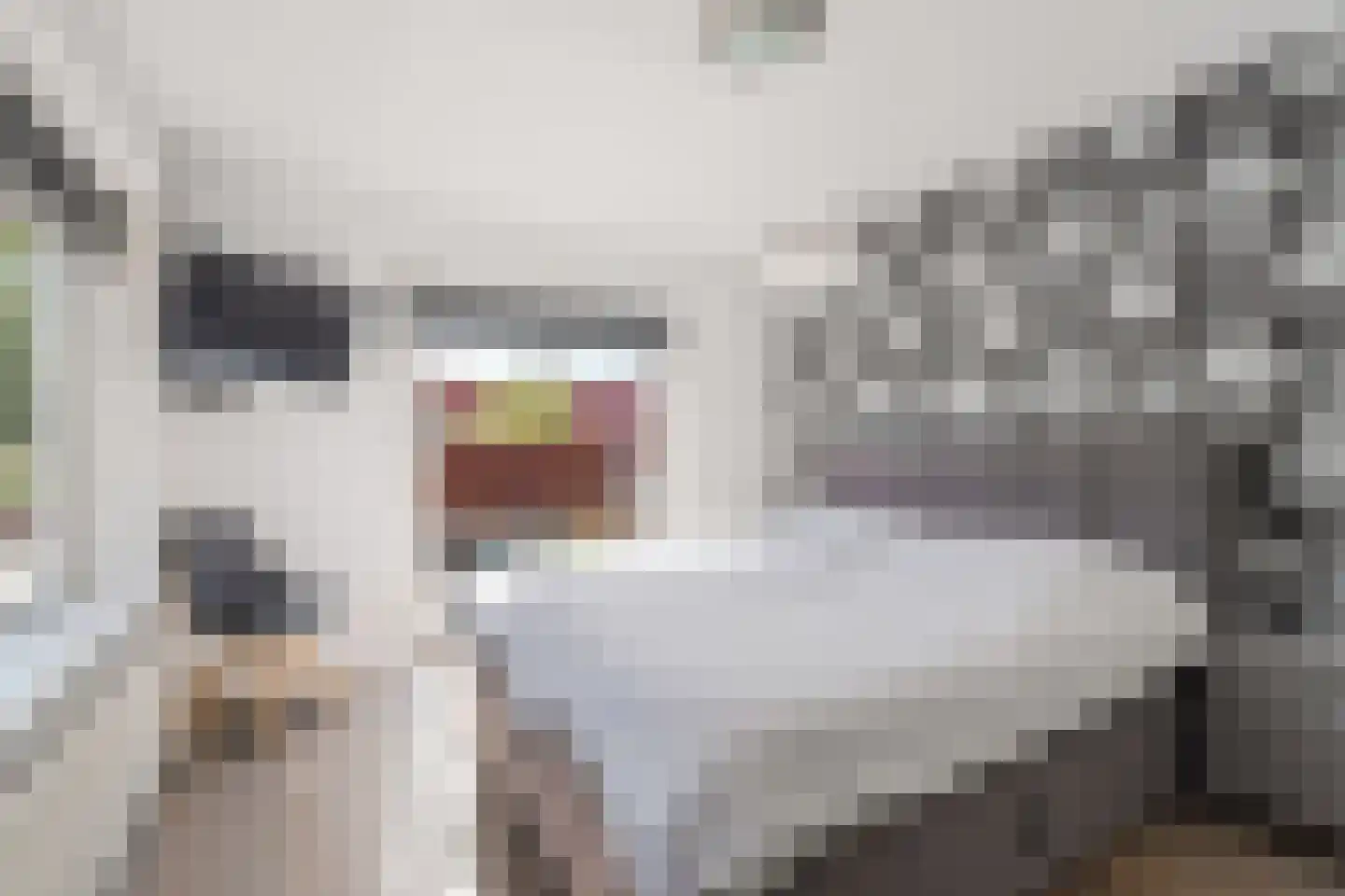 Eenhoornstraat 44 Haarlem thumbnail 35