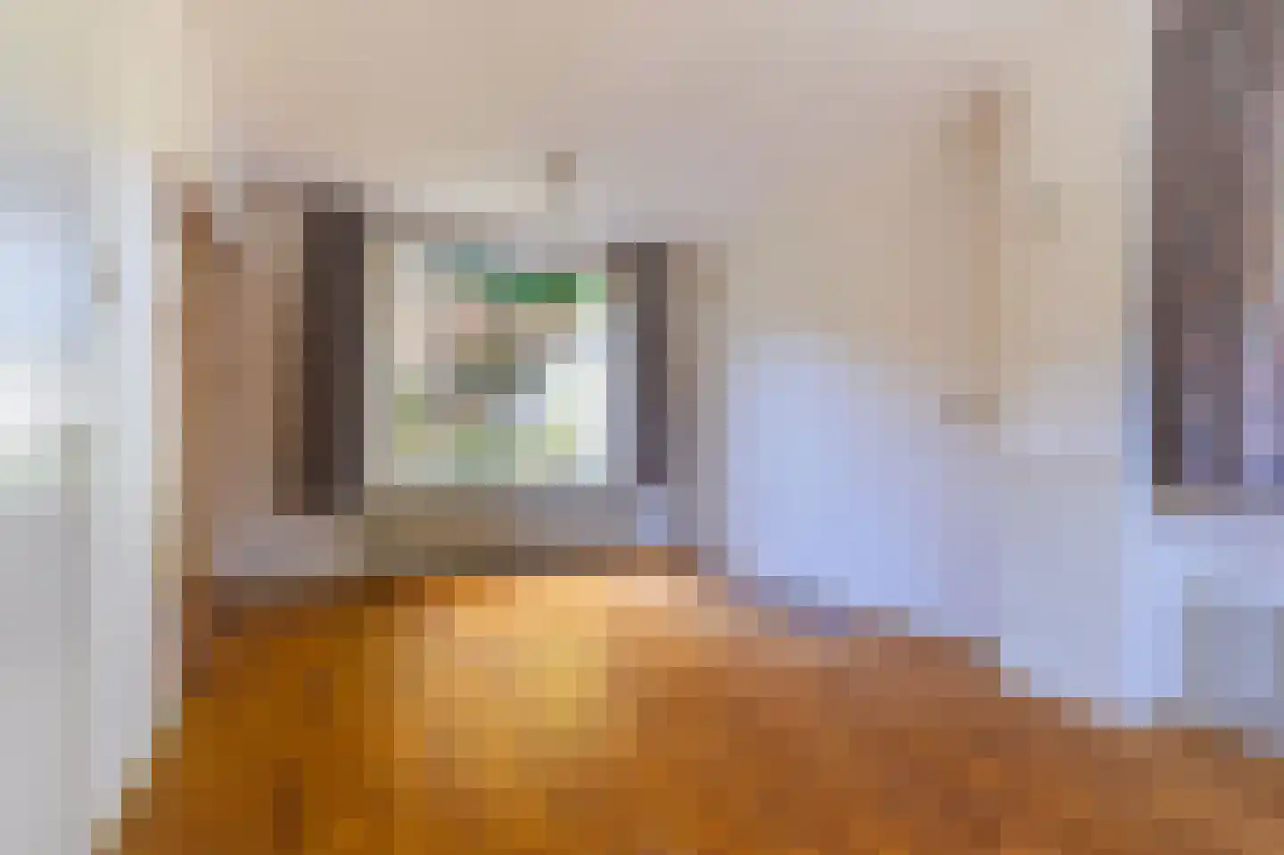 Eenhuizenstraat 23 Hoorn thumbnail 13