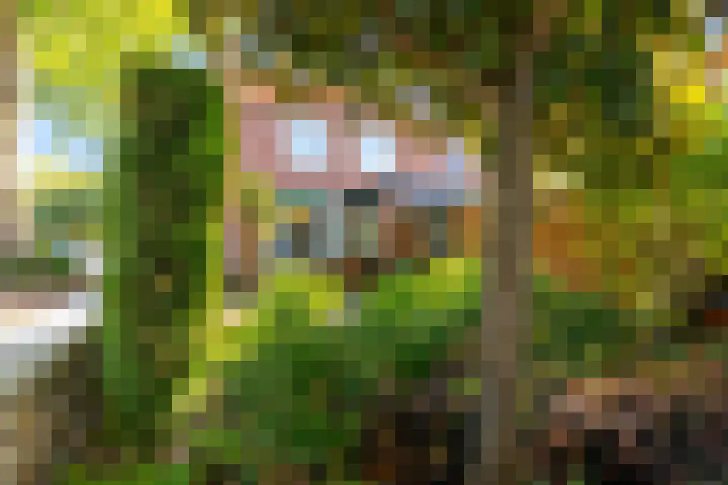 Eenhuizenstraat 23 Hoorn thumbnail 18