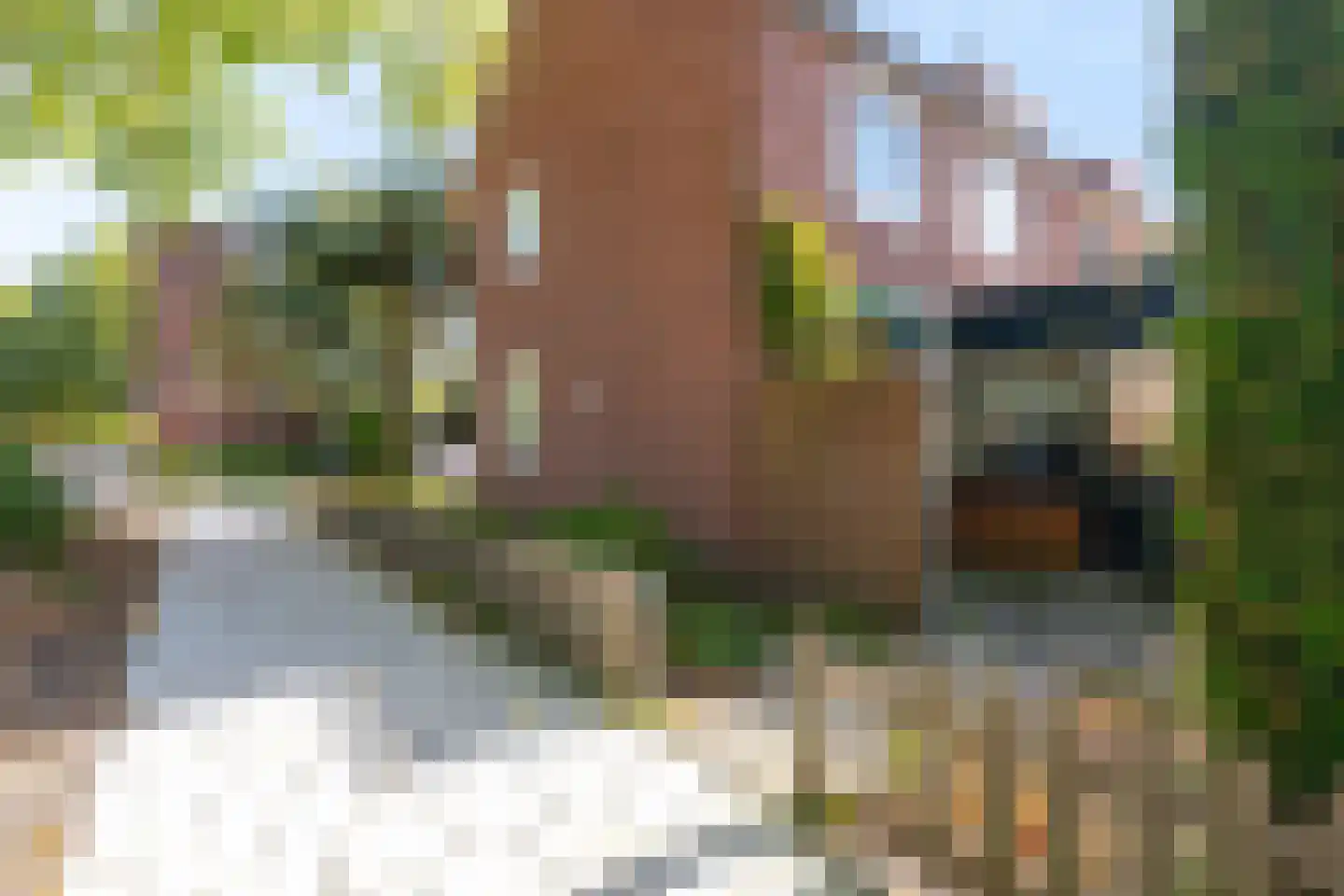 Eenhuizenstraat 23 Hoorn thumbnail 19