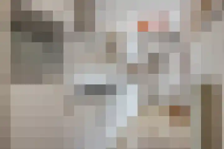 Eenhuizenstraat 6 Hoorn thumbnail 12