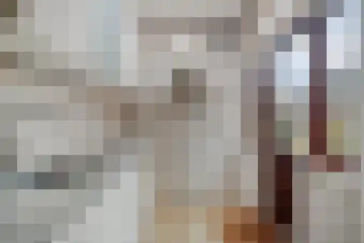 Eenhuizenstraat 6 Hoorn thumbnail 13