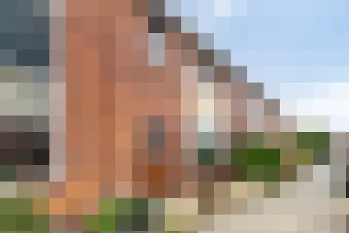 Eenhuizenstraat 6 Hoorn thumbnail 33