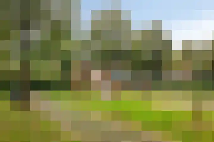 Eenhuizenstraat 6 Hoorn thumbnail 34