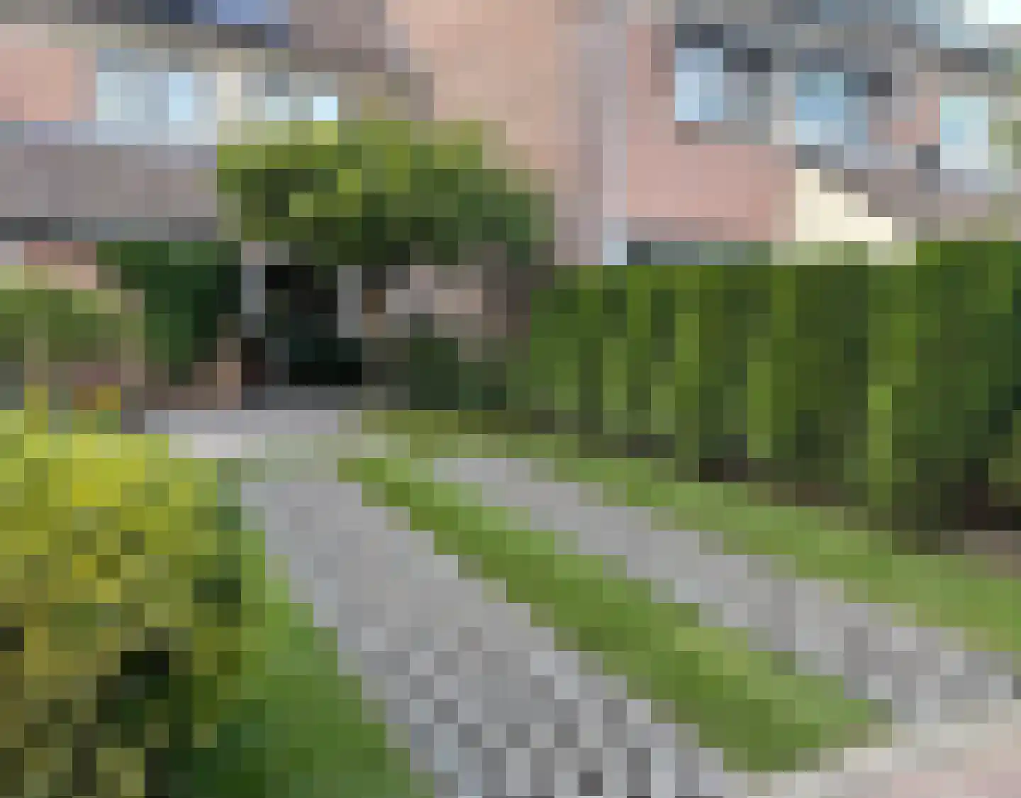 Eenigenburg 30 Heemskerk thumbnail 12