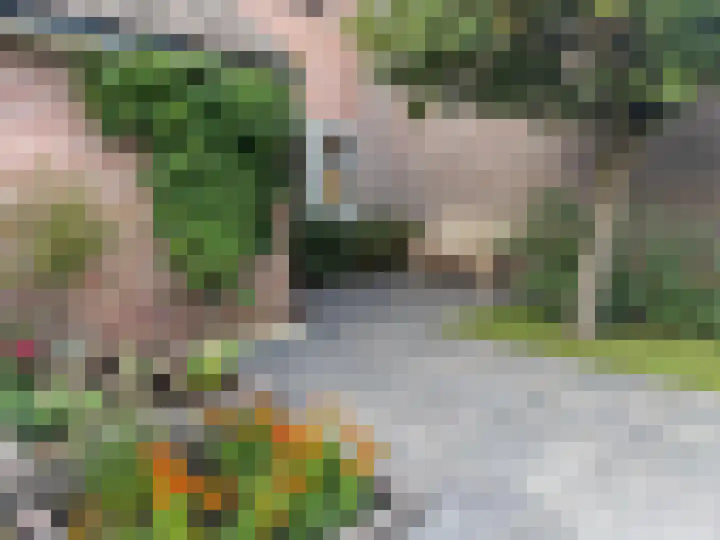 Eenigenburg 30 Heemskerk thumbnail 13