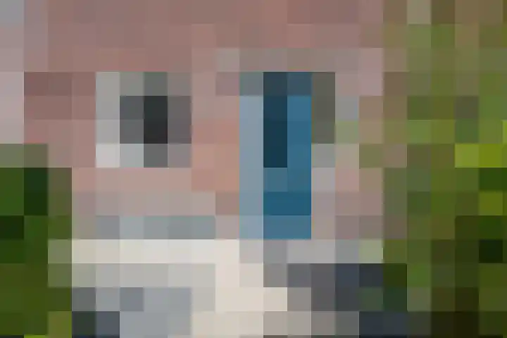 Eenkoorn 26 Haren Gn thumbnail 10