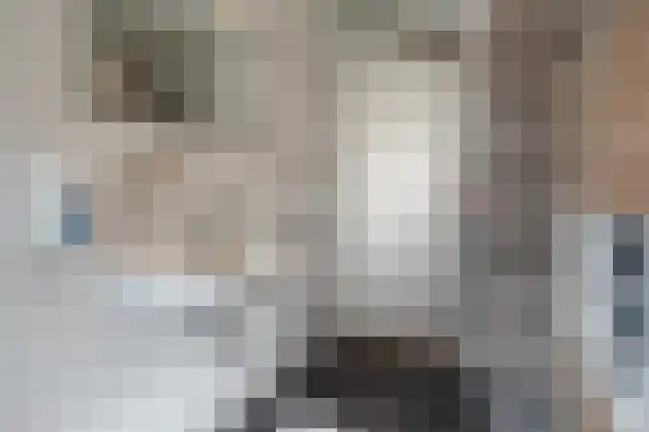 Eenkoorn 26 Haren Gn thumbnail 27