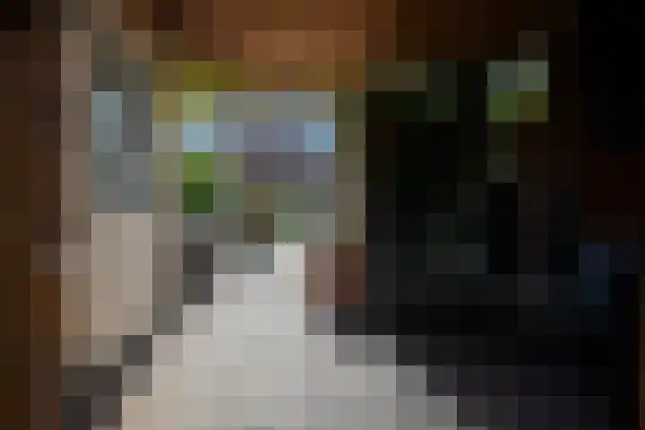 Eenkoorn 26 Haren Gn thumbnail 31