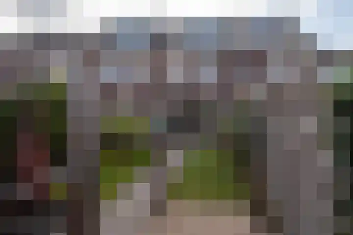 Eenkoorn 26 Haren Gn thumbnail 32