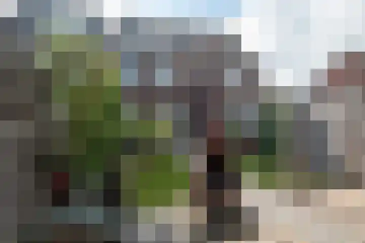 Eenkoorn 26 Haren Gn thumbnail 5