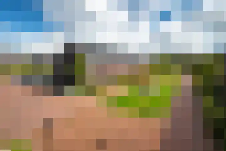 Eenkoorn 26 Haren Gn thumbnail 6