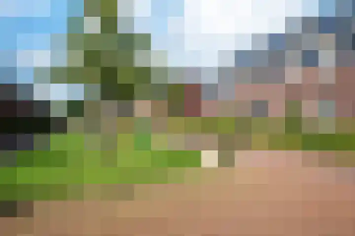 Eenkoorn 26 Haren Gn thumbnail 7