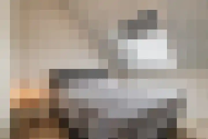 Eenkoorn 28 Haren Gn thumbnail 20