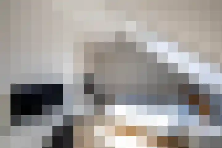 Eenkoorn 31 Haren Gn thumbnail 28