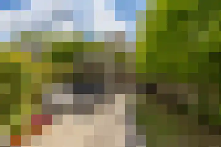 Eenkoorn 31 Haren Gn thumbnail 32