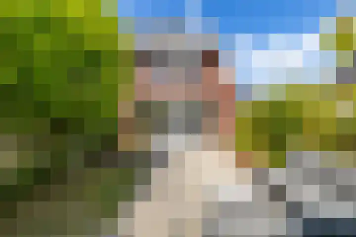 Eenkoorn 31 Haren Gn thumbnail 33