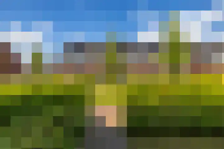 Eenkoorn 31 Haren Gn thumbnail 35