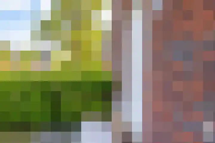 Eenkoorn 31 Haren Gn thumbnail 36