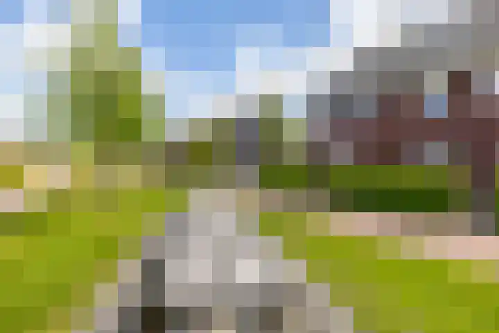 Eenkoorn 31 Haren Gn thumbnail 37