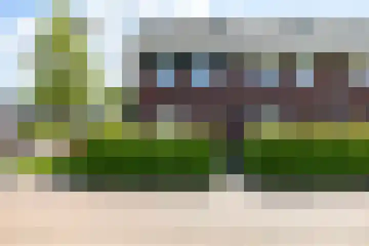 Eenkoorn 31 Haren Gn thumbnail 39
