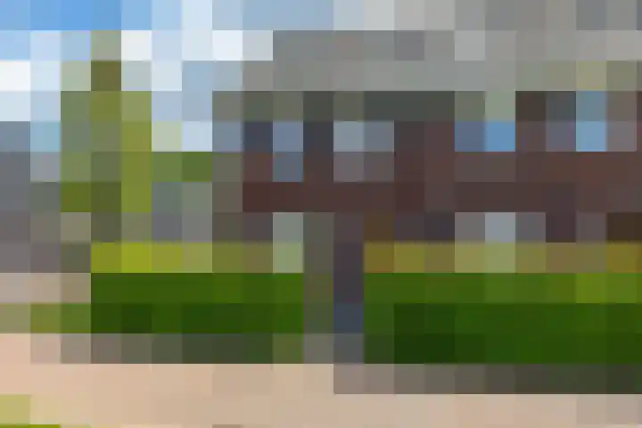 Eenkoorn 31 Haren Gn thumbnail 40