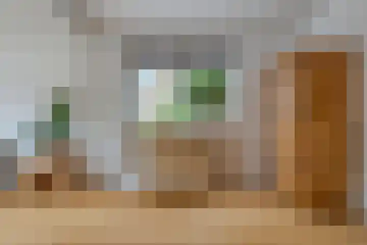Eenlandsweg 14 Halsteren thumbnail 12