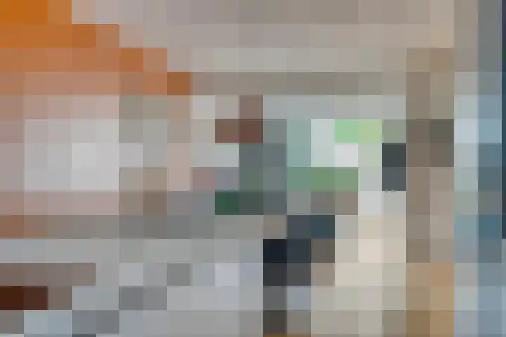 Eenlandsweg 14 Halsteren thumbnail 13