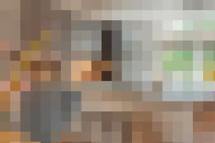 Eenlandsweg 14 Halsteren thumbnail 14