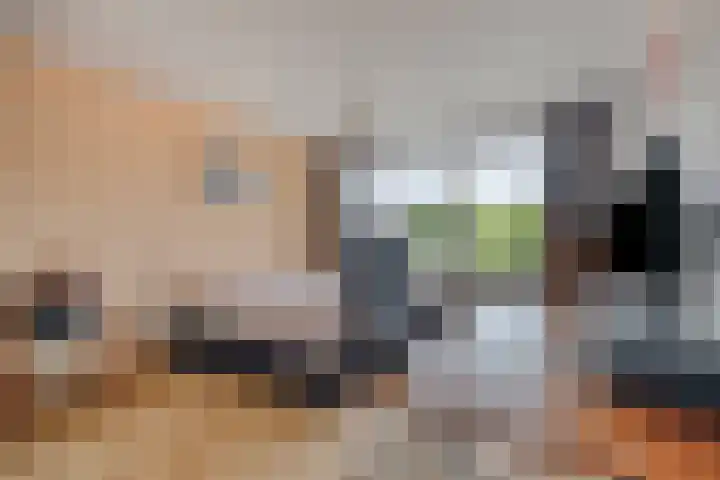 Eenlandsweg 14 Halsteren thumbnail 16