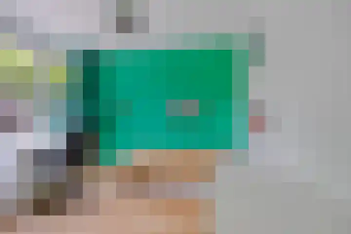 Eenlandsweg 14 Halsteren thumbnail 20