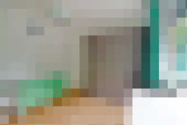 Eenlandsweg 14 Halsteren thumbnail 21