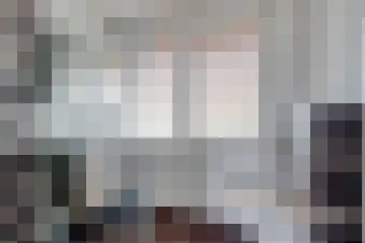 Eenlandsweg 14 Halsteren thumbnail 22