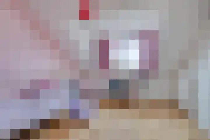Eenlandsweg 14 Halsteren thumbnail 24