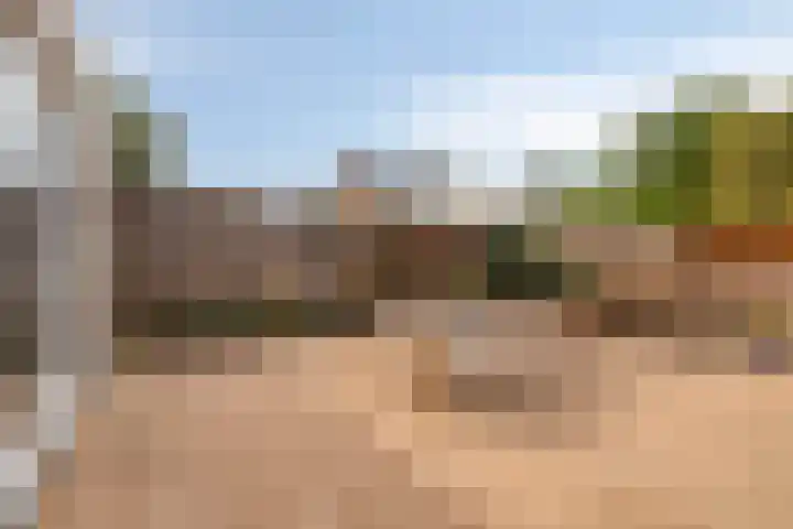 Eenlandsweg 14 Halsteren thumbnail 26
