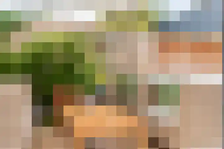 Eenlandsweg 14 Halsteren thumbnail 27