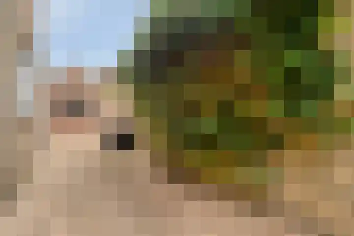 Eenlandsweg 14 Halsteren thumbnail 29